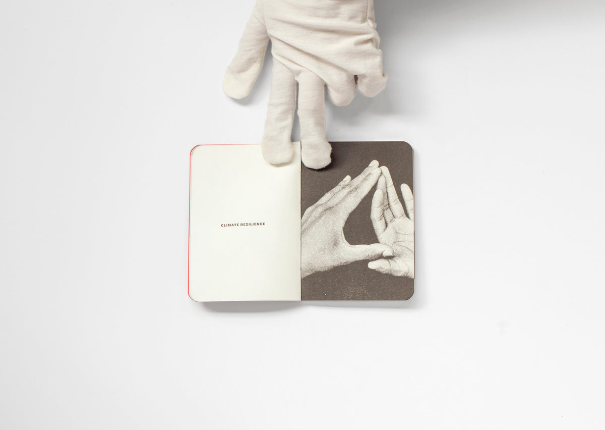 The Small Book of Endangered Gestures