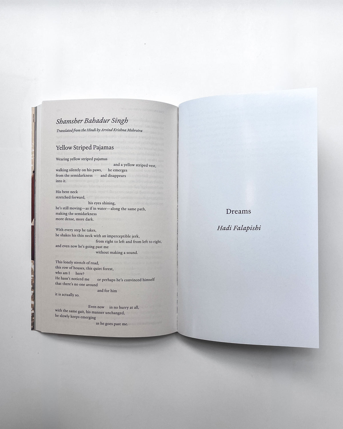 The Paris Review: Prose, Interview, Poetry, Art — Summer 2026