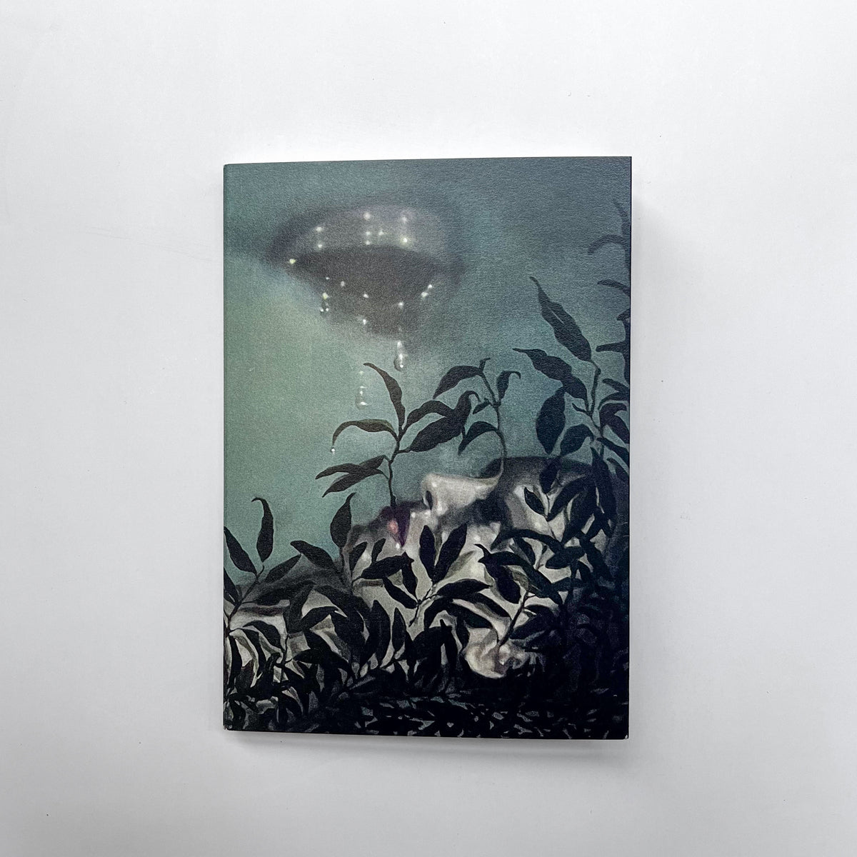 Ovid's Metamorphoses — Different Artist Sleeves