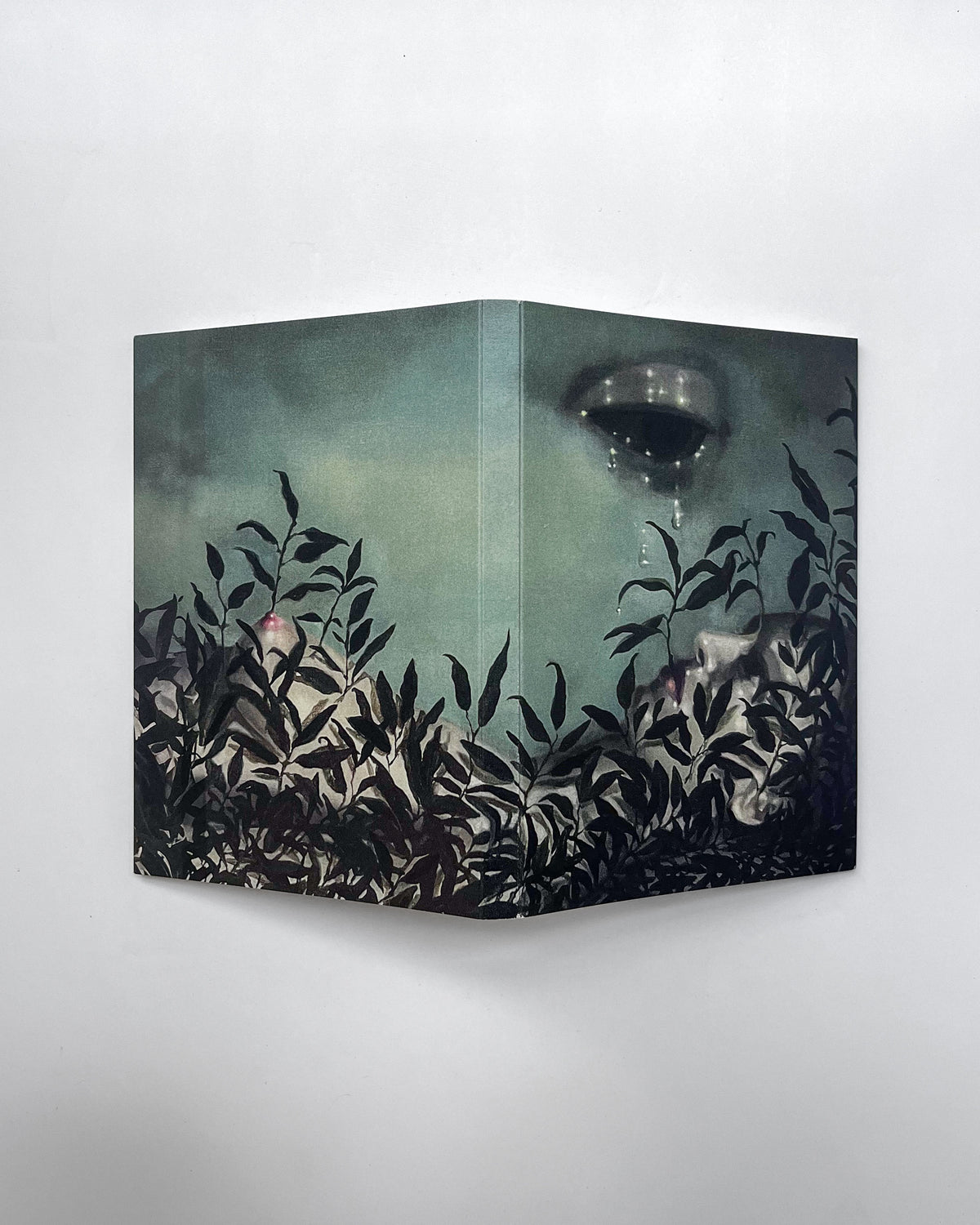Ovid's Metamorphoses — Different Artist Sleeves