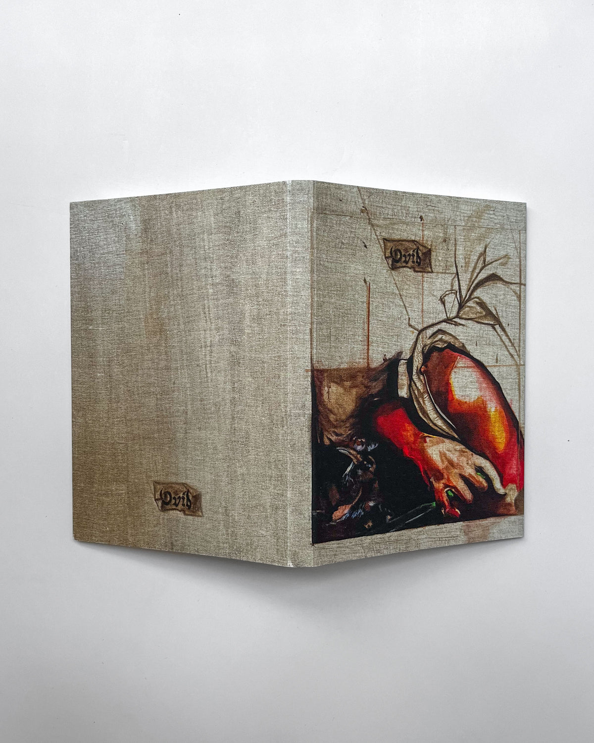 Ovid's Metamorphoses — Different Artist Sleeves