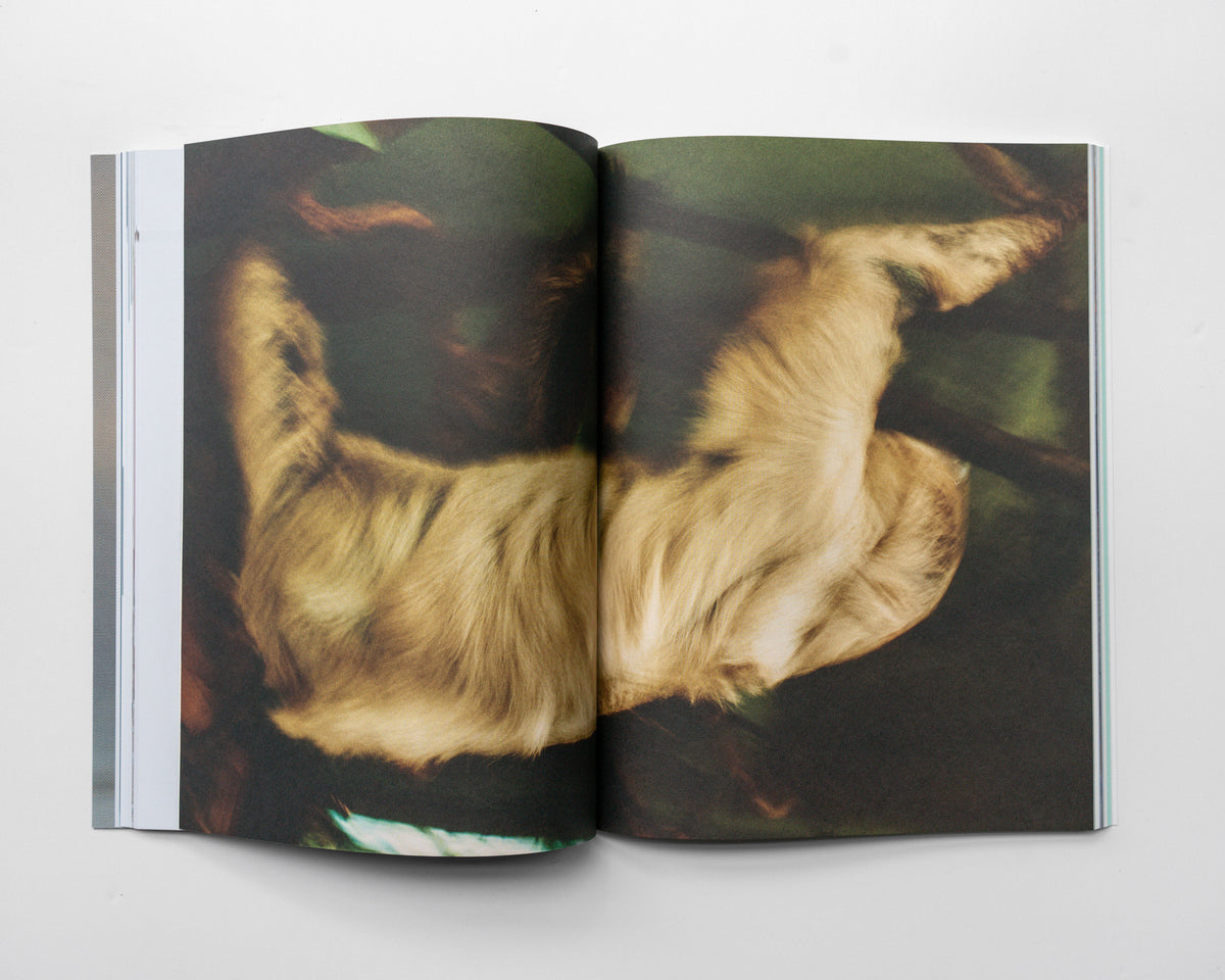 Paperboy Issue Nine: The Upside Down Issue