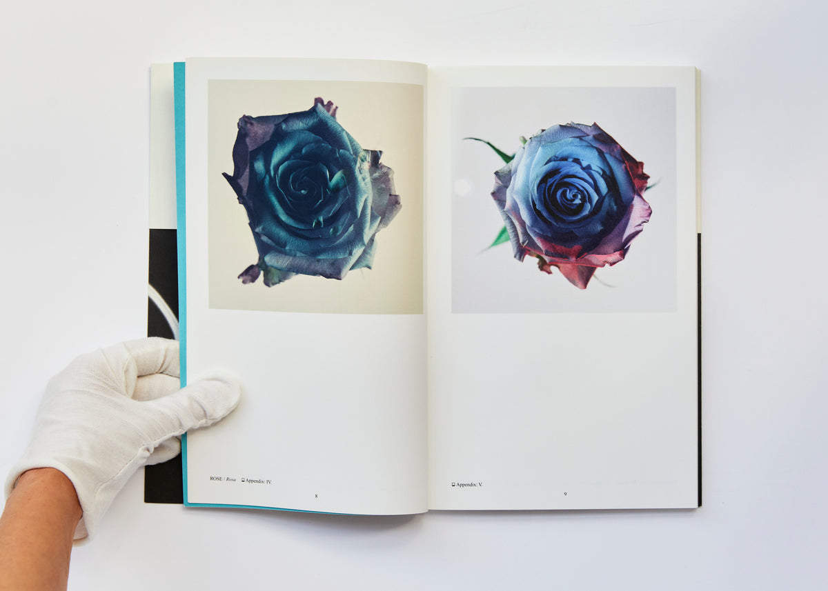 Studio Botanical