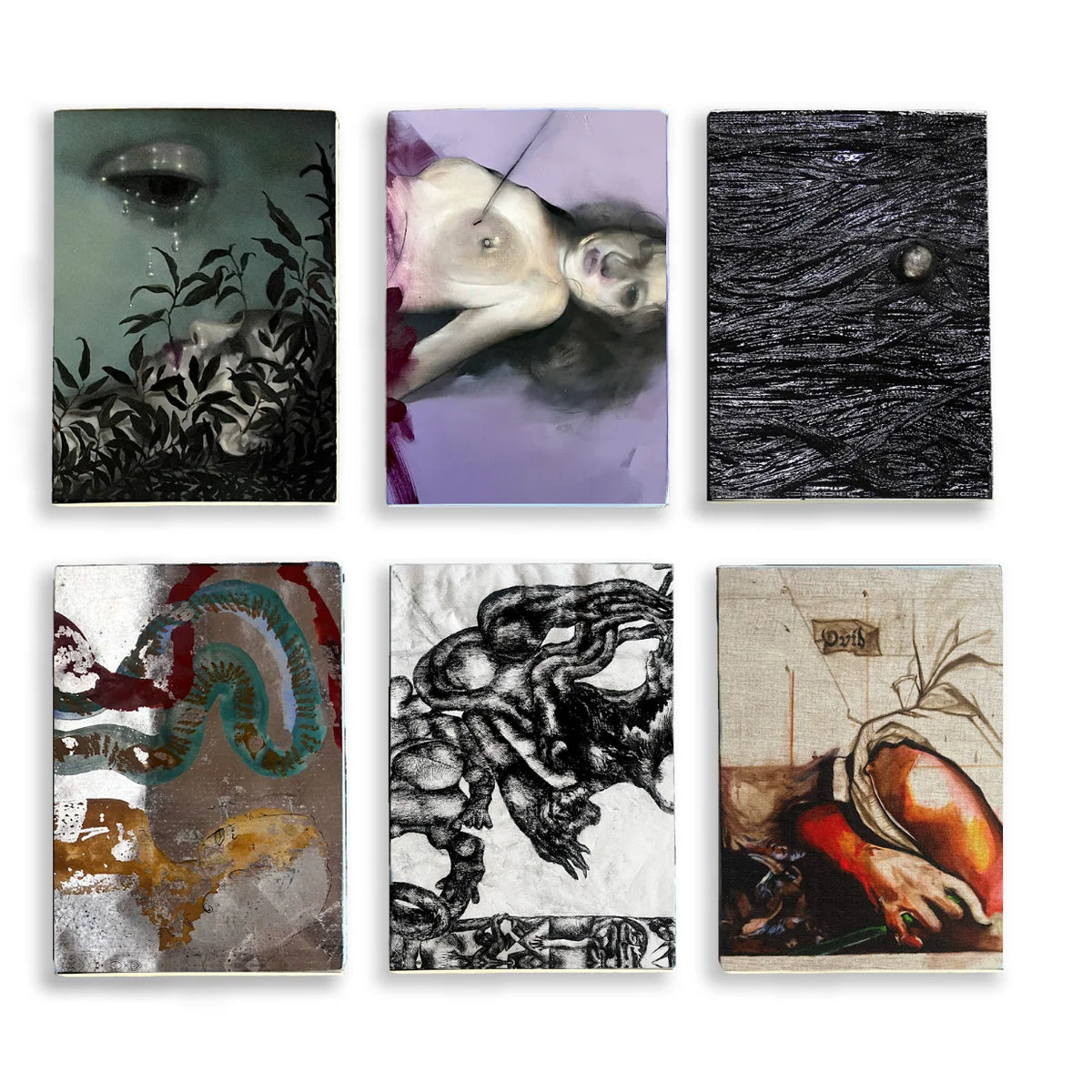 Sendb00ks Metamorphoses: All Volumes — Six Artist Editions of Ovid