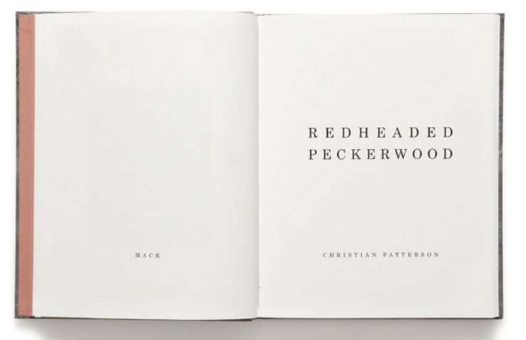 LNCC Christian Patterson, Redheaded Peckerwood *signed second editon - Claire de Rouen Books
