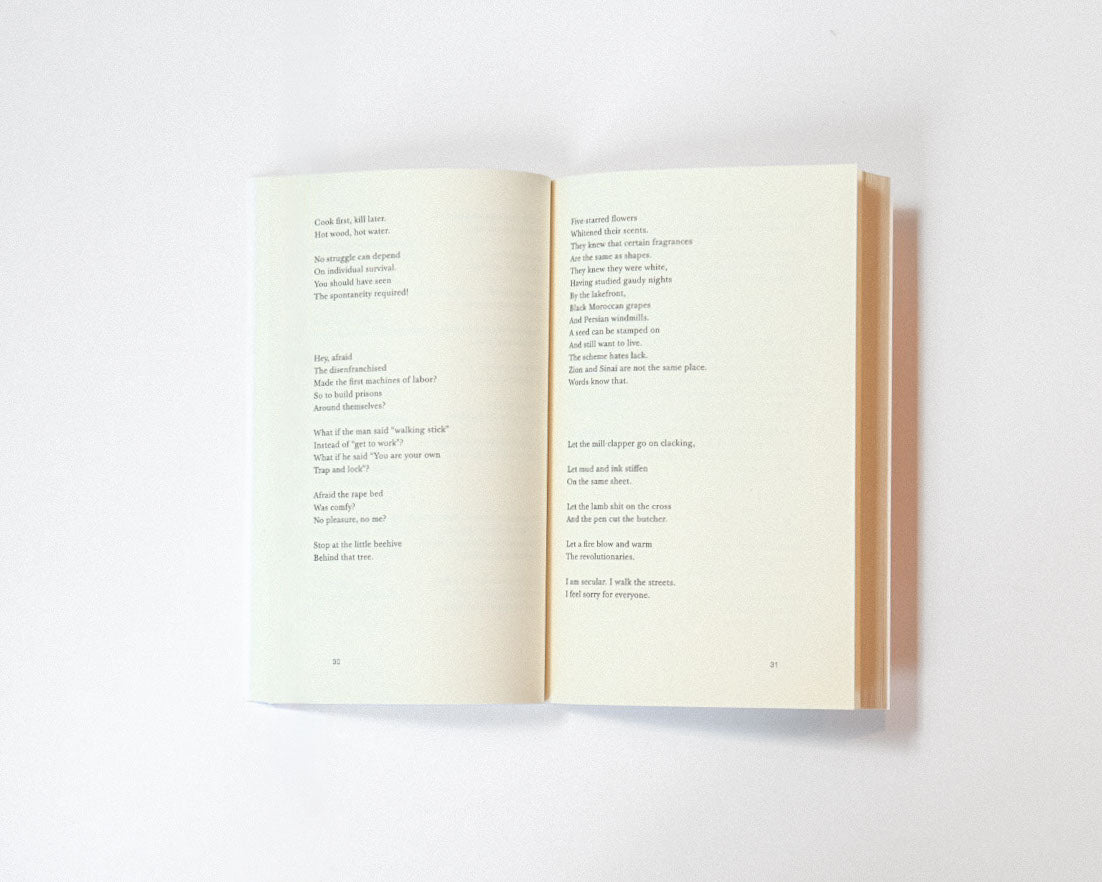 This Poor Book: A Poem