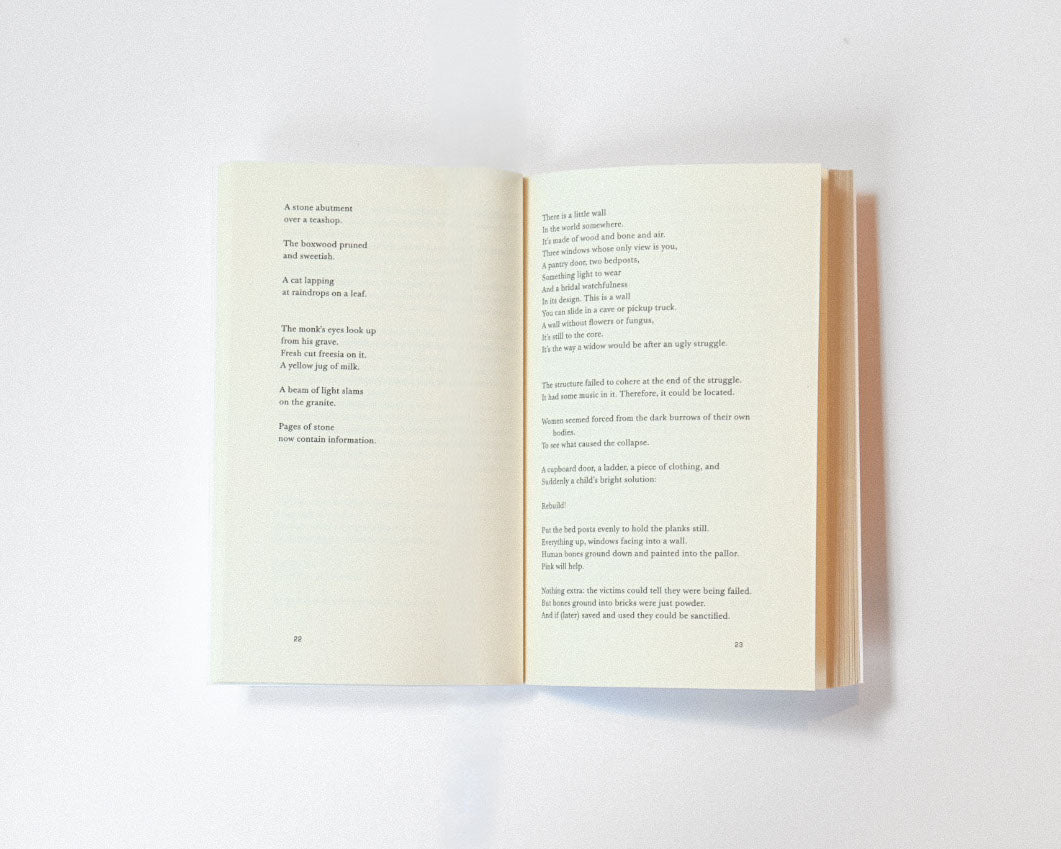 This Poor Book: A Poem
