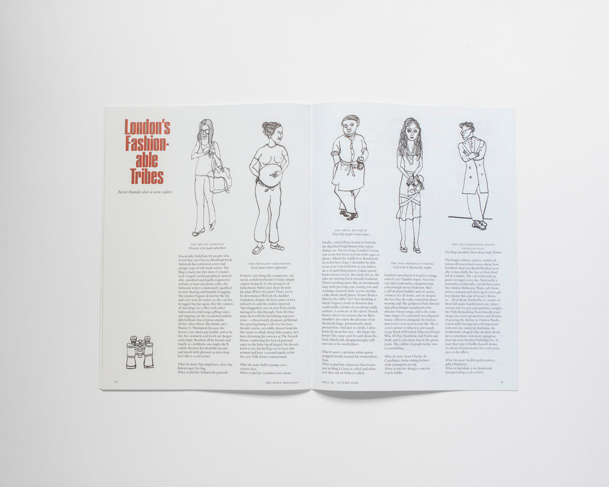 The Fence Issue 29