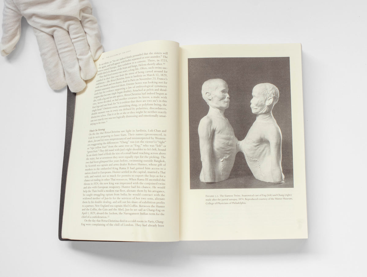 The Culture of the Copy: Striking Likenesses, Unreasonable Facsimiles