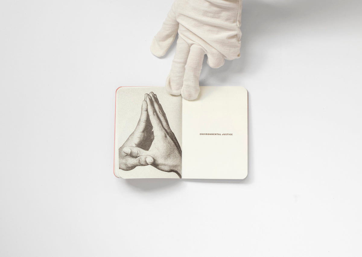 The Small Book of Endangered Gestures