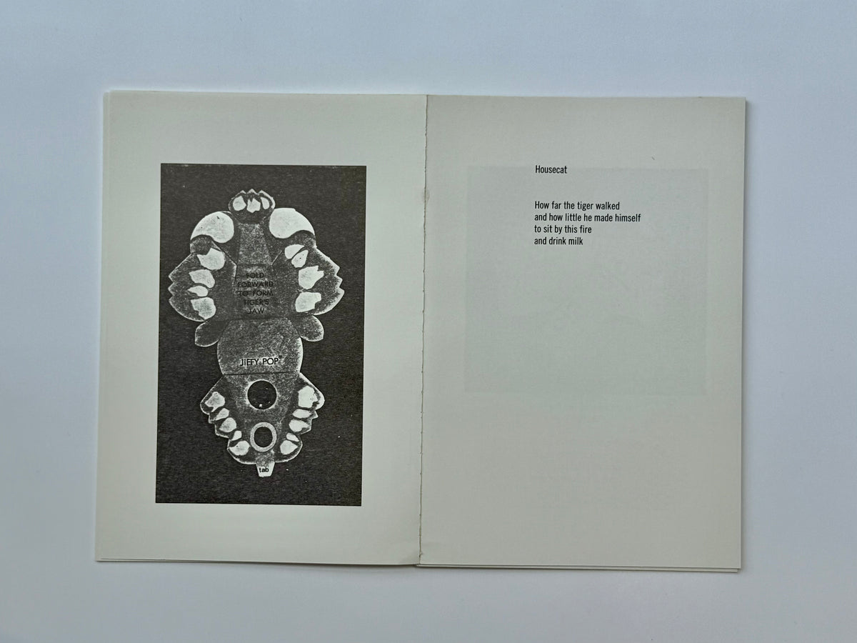 Slave Days: 29 Poems, 31 Photocopied Objects