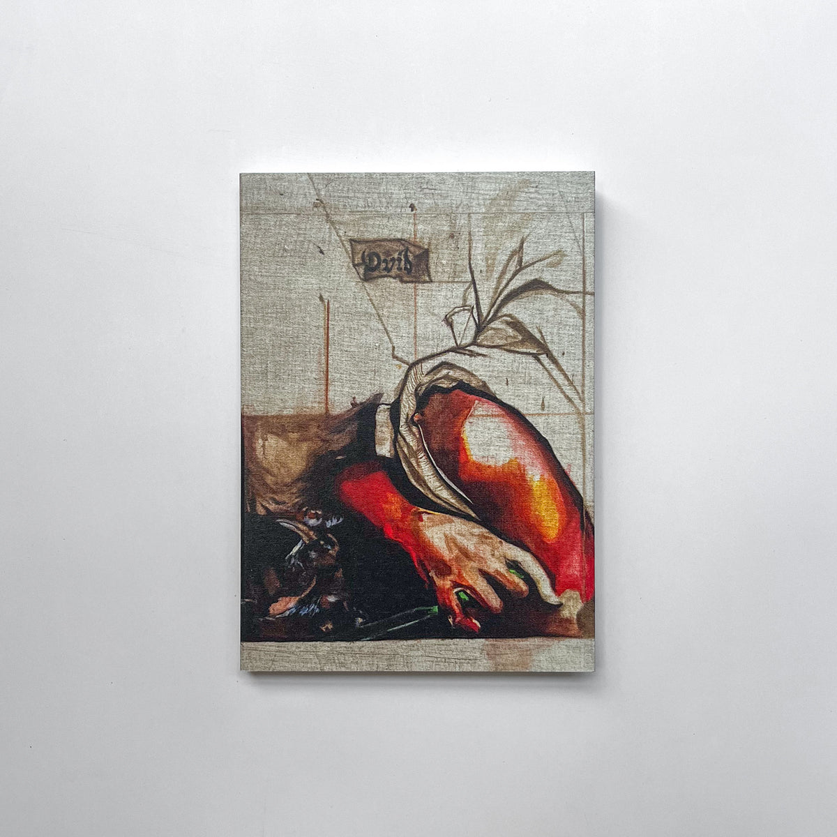 Ovid's Metamorphoses — Different Artist Sleeves