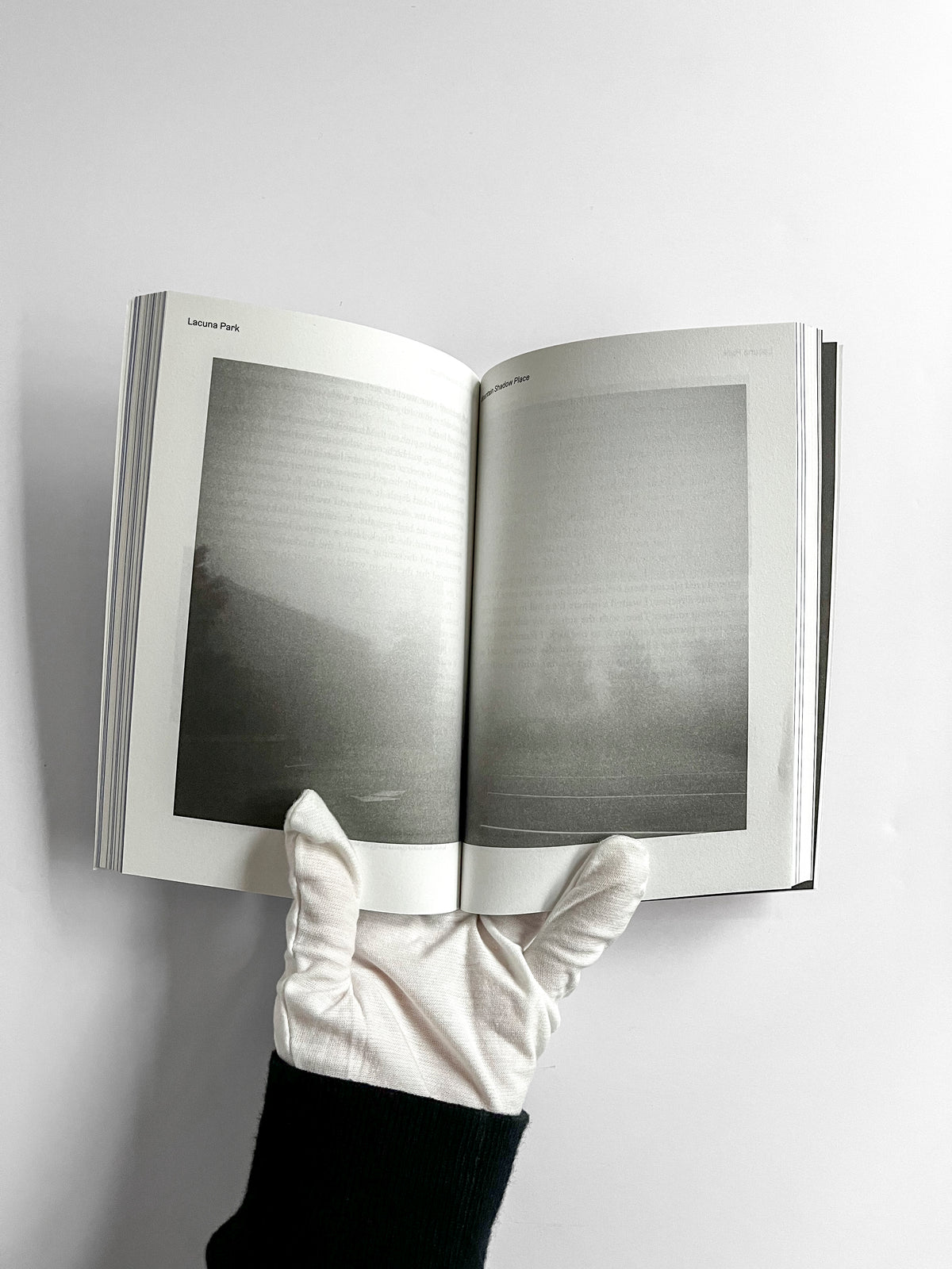 Lacuna Park: Essays and Other Adventures in Photography