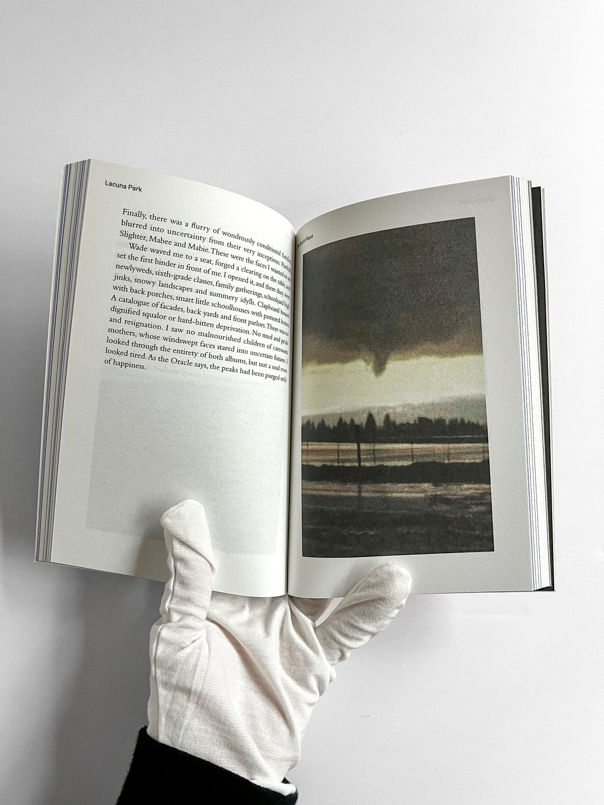 Lacuna Park: Essays and Other Adventures in Photography