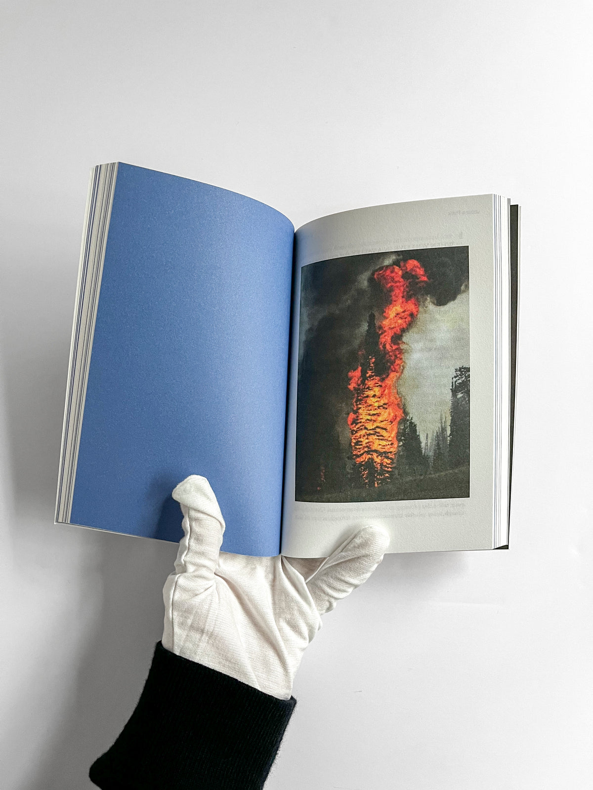 Lacuna Park: Essays and Other Adventures in Photography