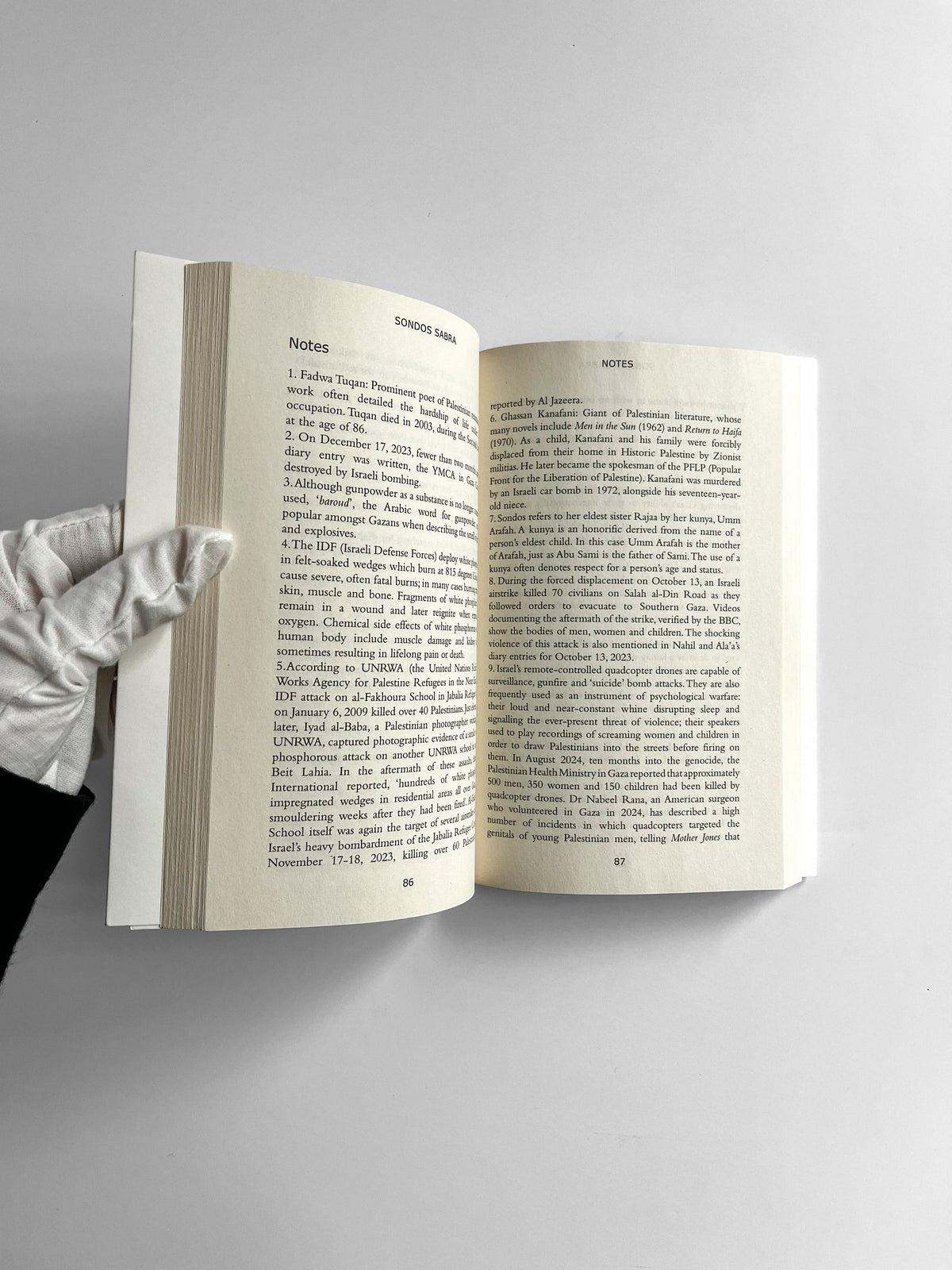 Voices of Resistance: Diaries of Genocide