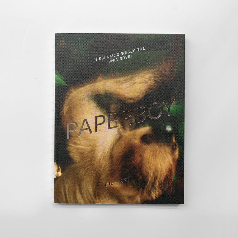 Paperboy Issue Nine: The Upside Down Issue