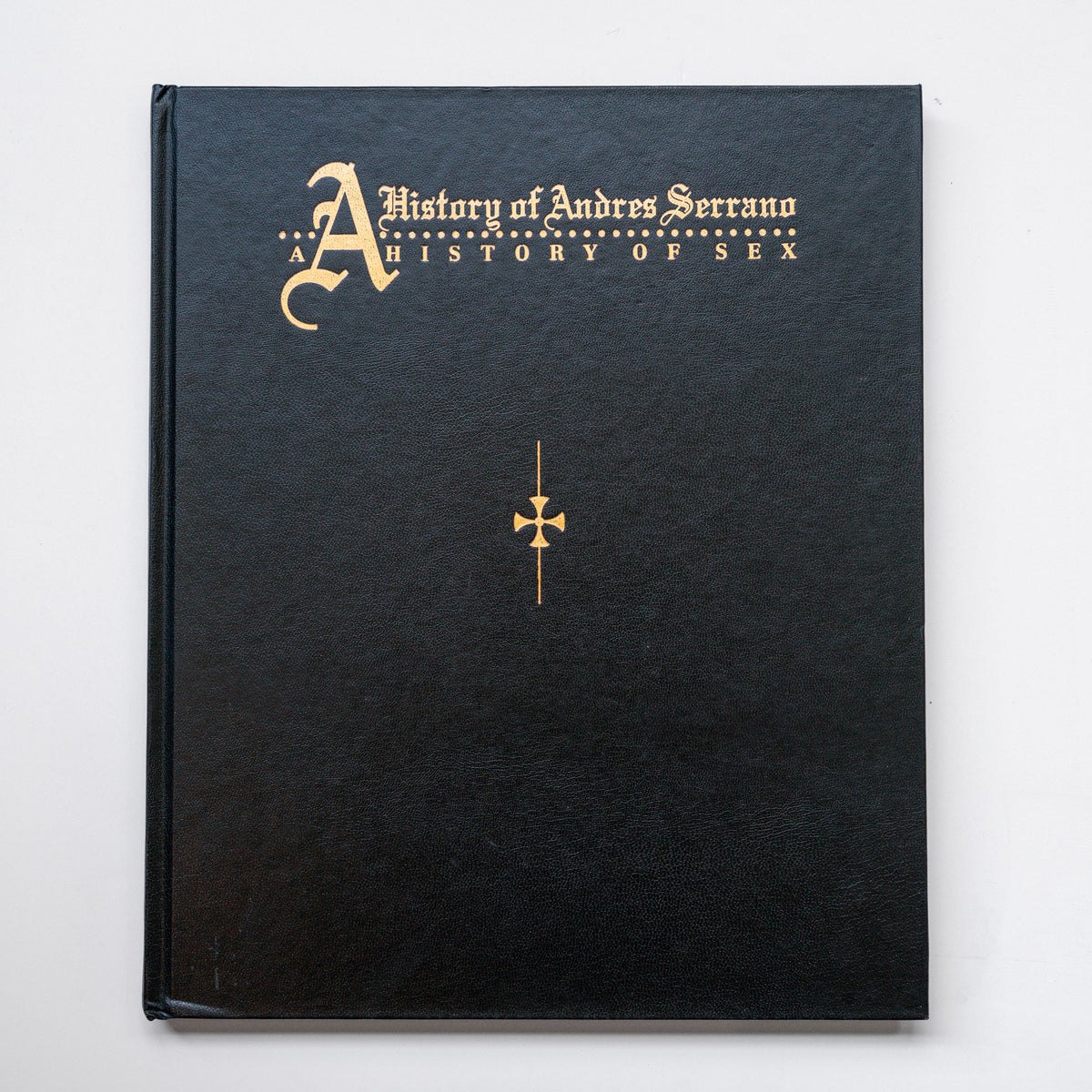 A History of Andres Serrano: A History of Sex