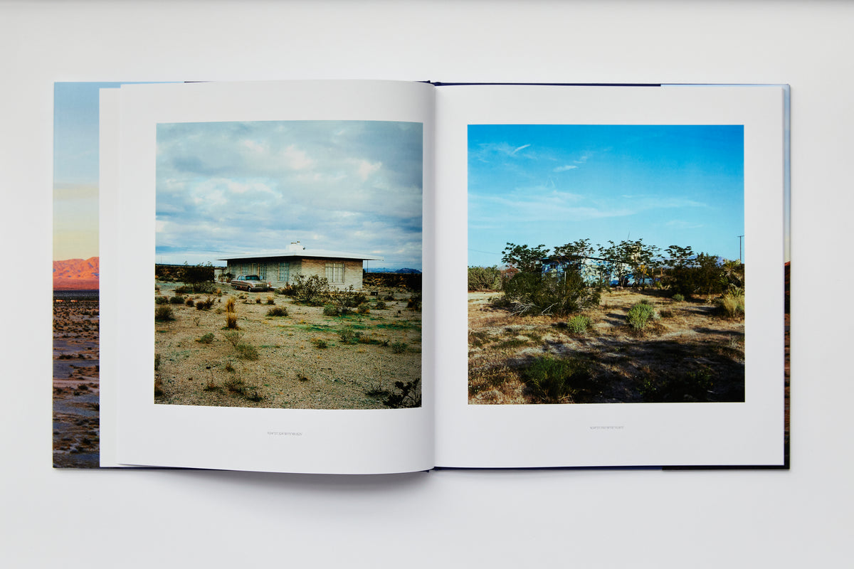 Isolated Houses and Dogs Chasing My Car in the Desert