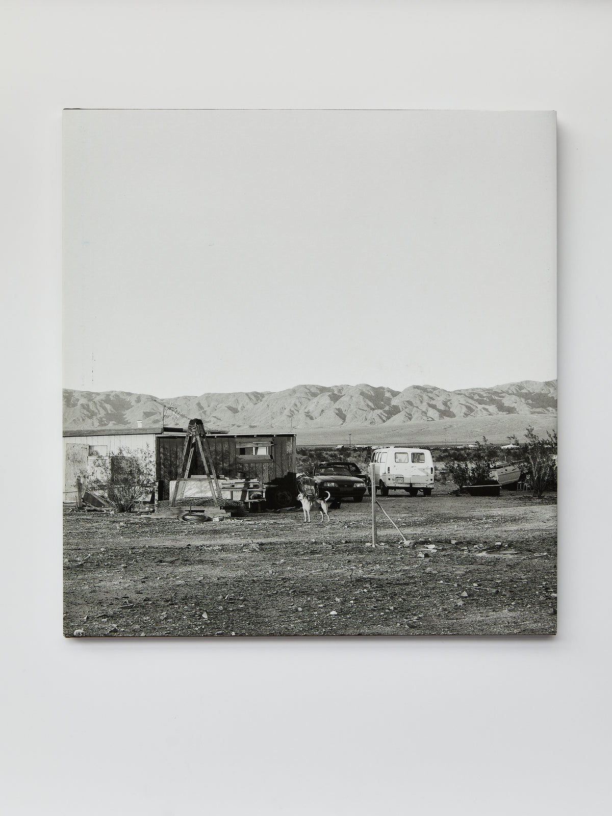Isolated Houses and Dogs Chasing My Car in the Desert