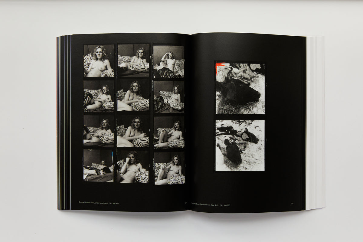 Hujar:Contact