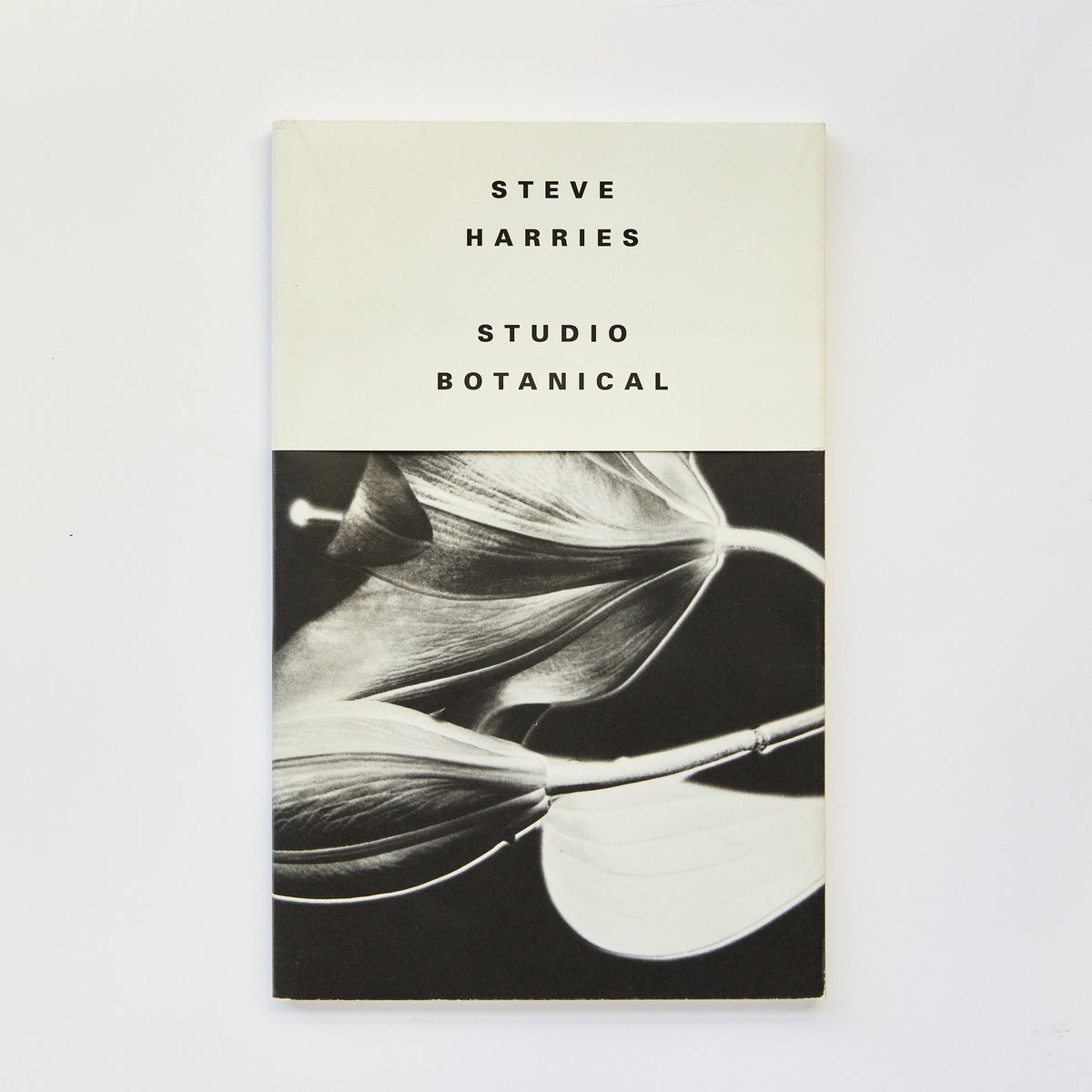 Studio Botanical