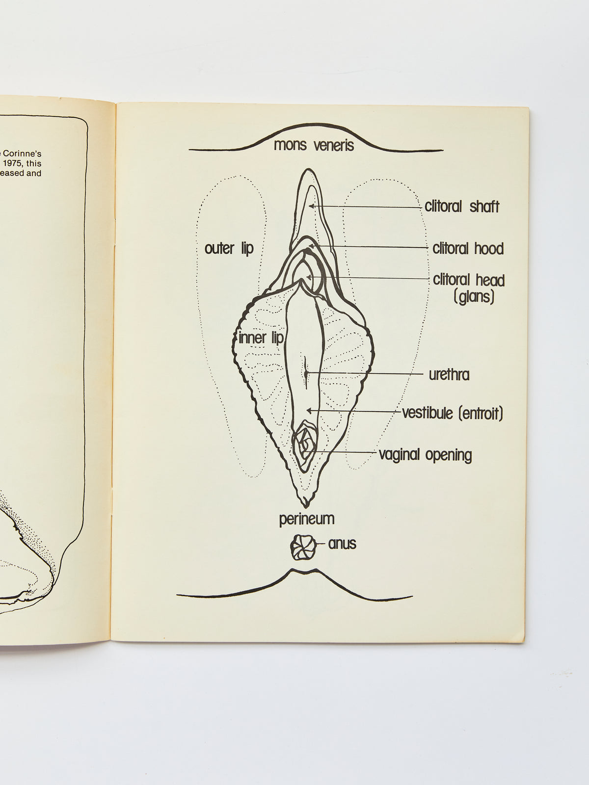 Labiaflowers: A Colouring Book