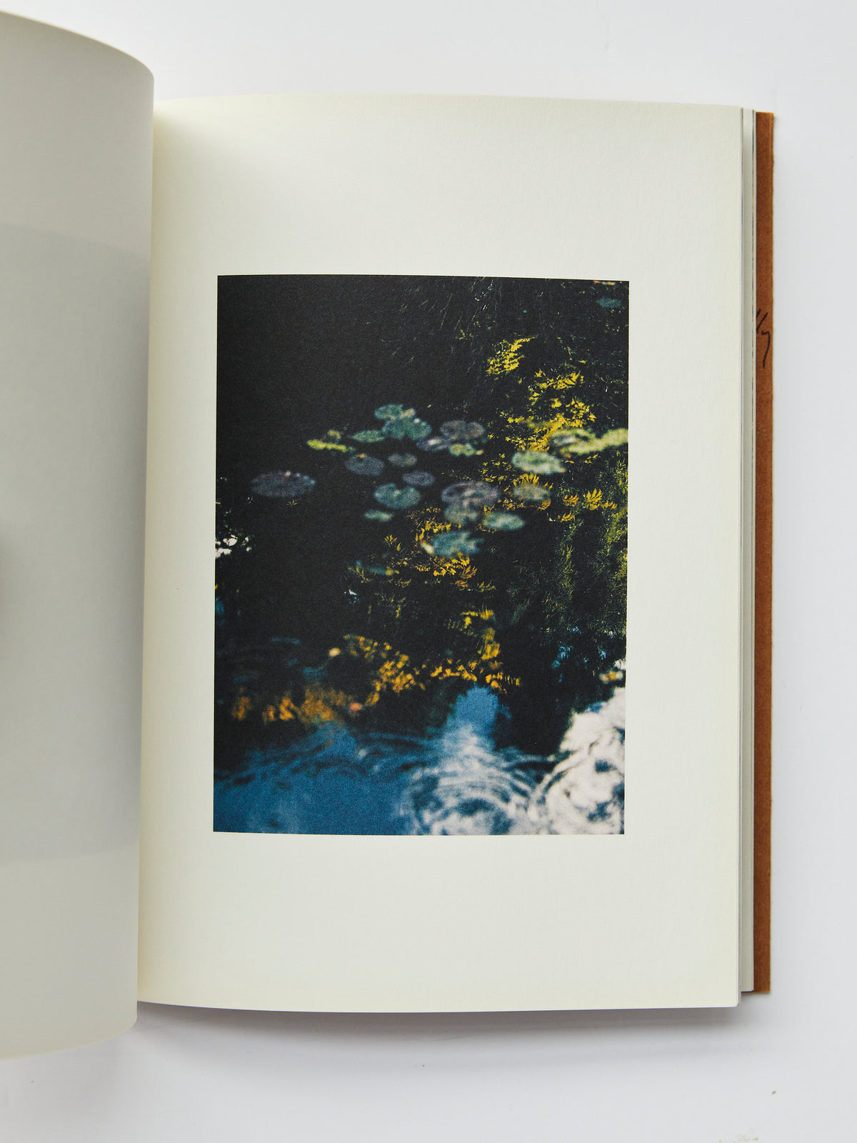 A Voice Above The Linn