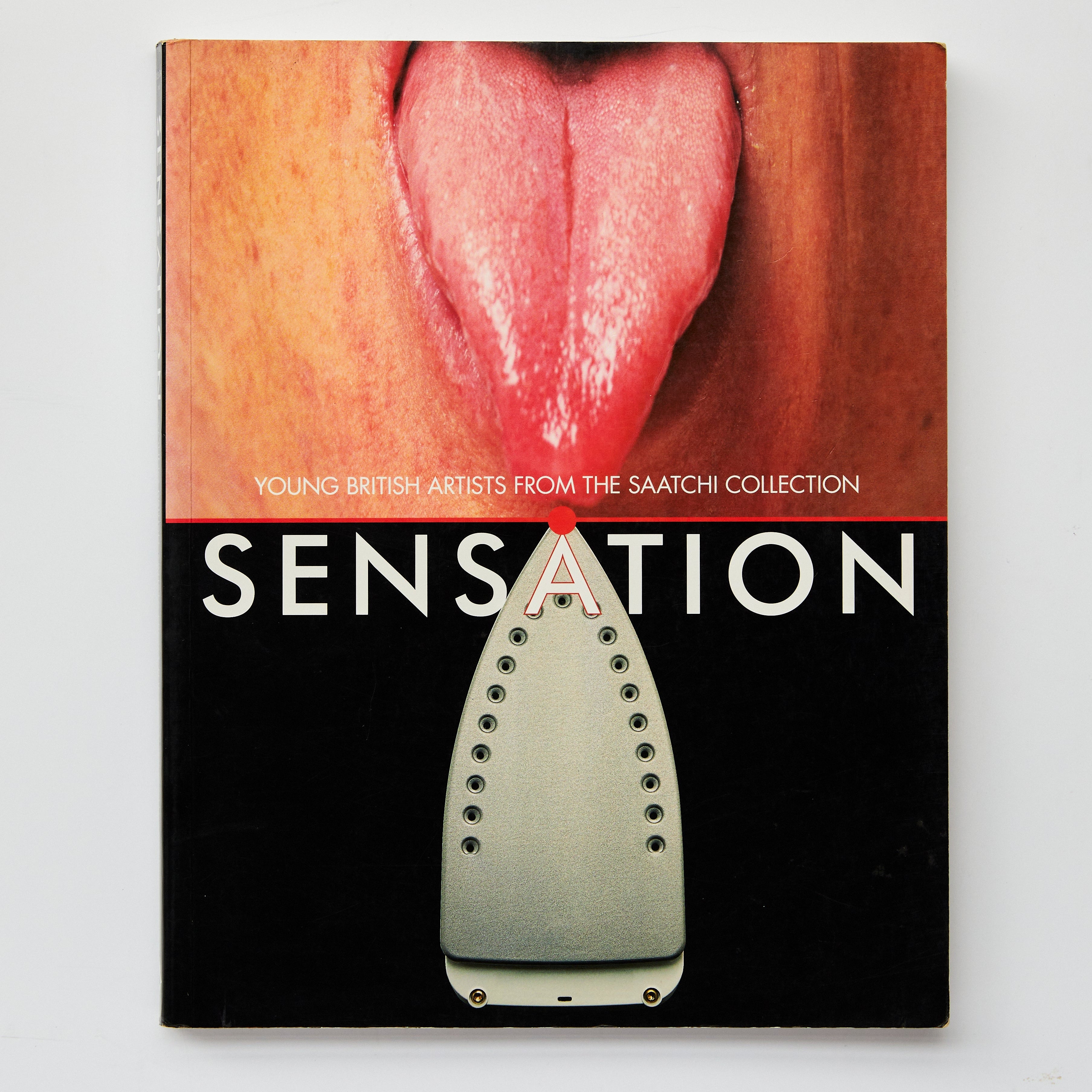 Sensation: Young British Artists from the Saatchi Collection
